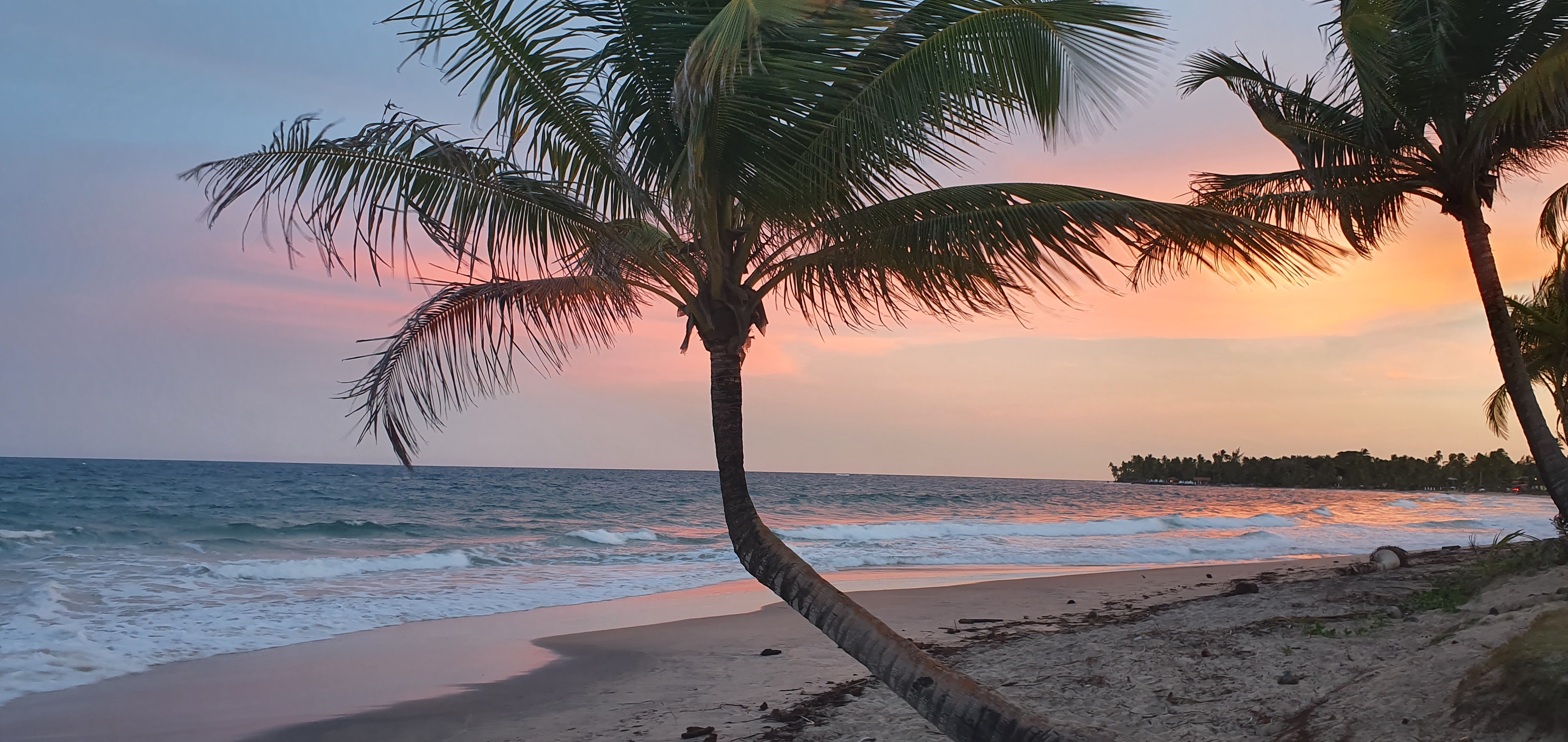 Pôr do sol entre coqueiros na Península de Maraú